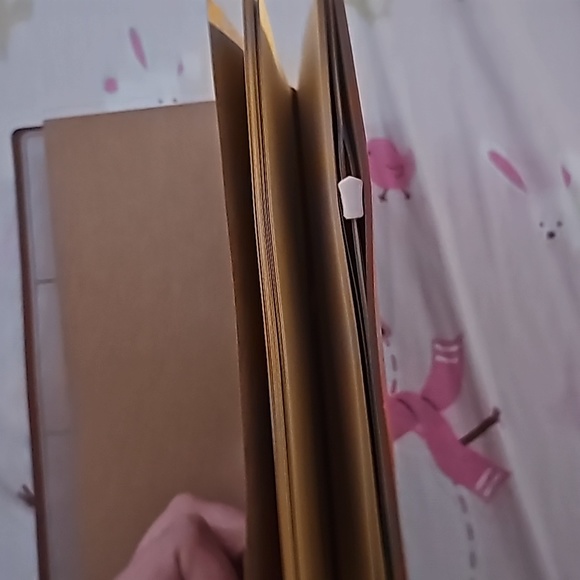 Terracotta Butterfly "R" Card, Money, And Note Book - Picture 4 of 6